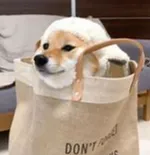 赵PM000001的礼品卡--限制金额500 59900_1